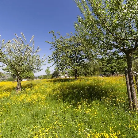 Отель Landgasthof Aumanwirt